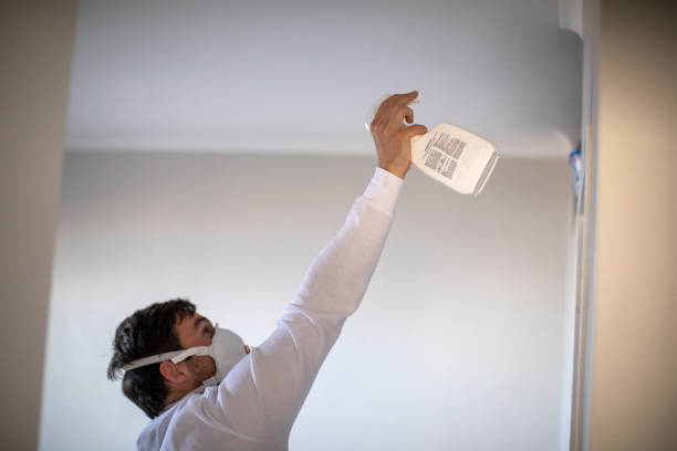 Mold Testing and Removal in Pine Ridge At Crestwood, NJ