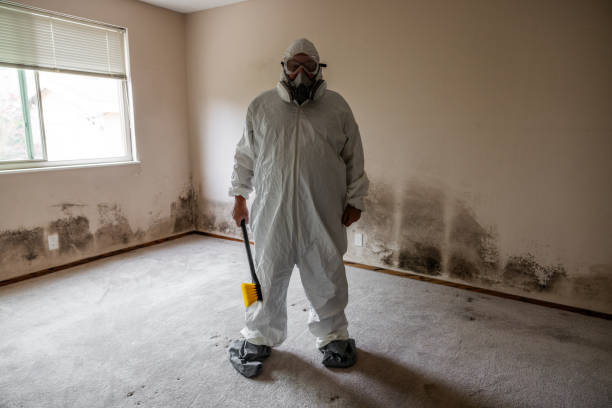 Best Commercial Mold Removal  in Pine Ridge At Crestwood, NJ